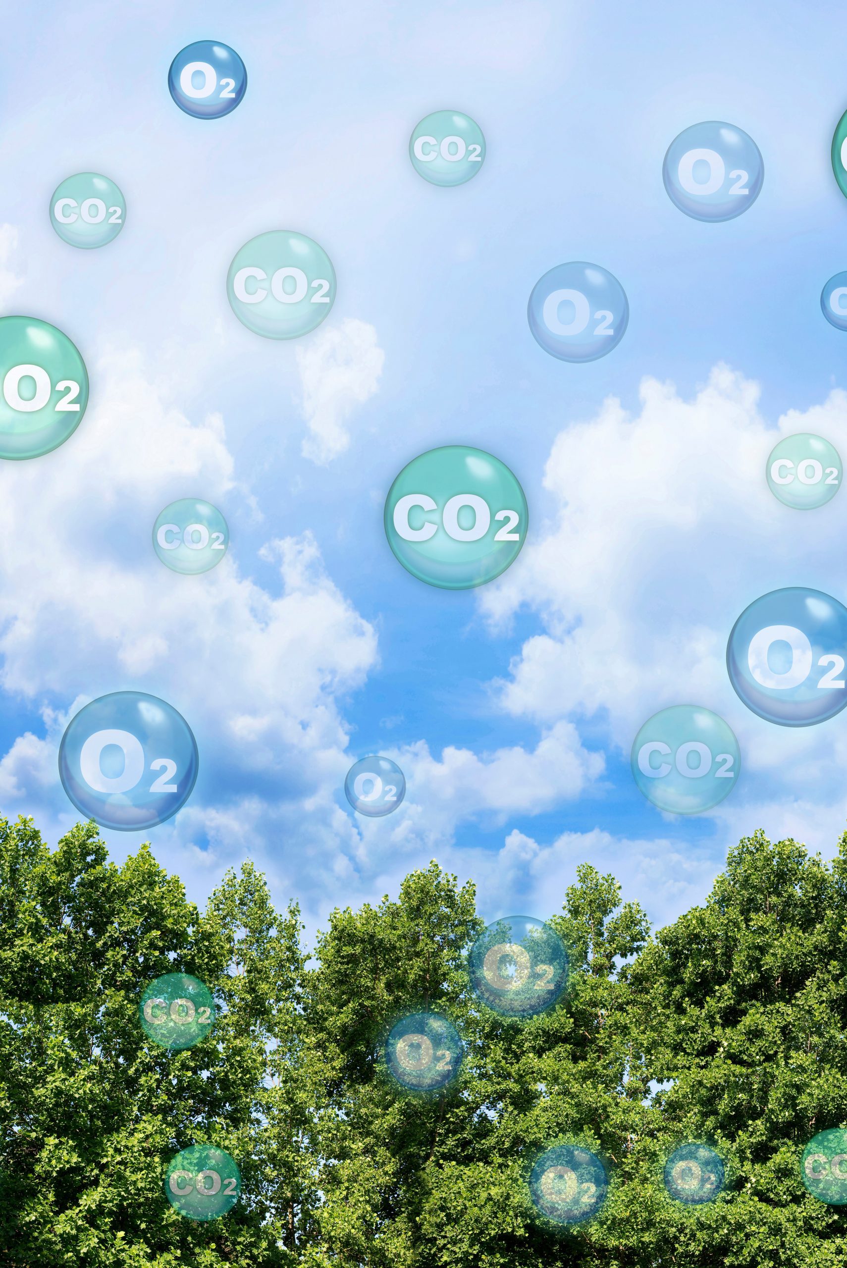 Die Vision einer CO2 freien Welt